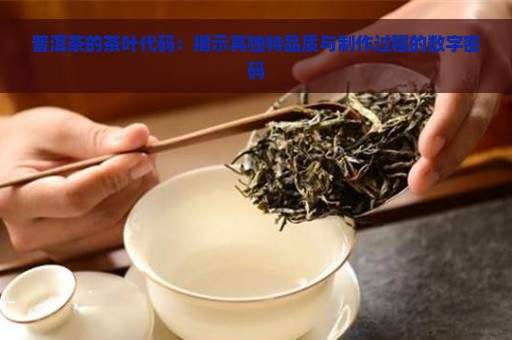 普洱茶的茶叶代码：揭示其独特品质与制作过程的数字密码