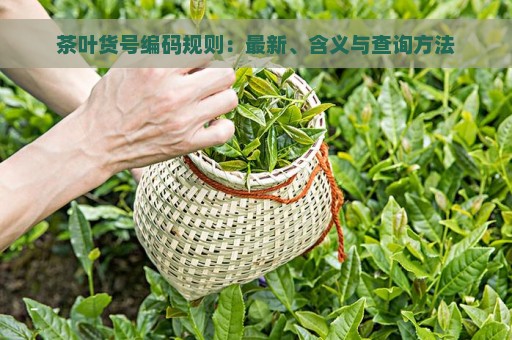 茶叶货号编码规则：最新、含义与查询方法