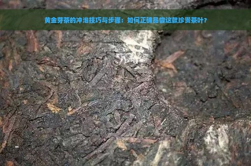 黄金芽茶的冲泡技巧与步骤：如何正确品尝这款珍贵茶叶？