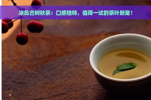 冰岛古树秋茶：口感独特，值得一试的茶叶新宠！