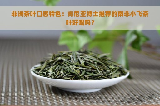 非洲茶叶口感特色：肯尼亚博士推荐的南非小飞茶叶好喝吗？