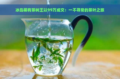 冰岛稀有茶树王以99万成交：一不寻常的茶叶之旅