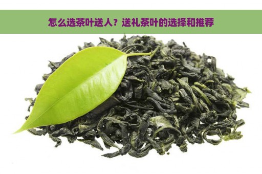 怎么选茶叶送人？送礼茶叶的选择和推荐