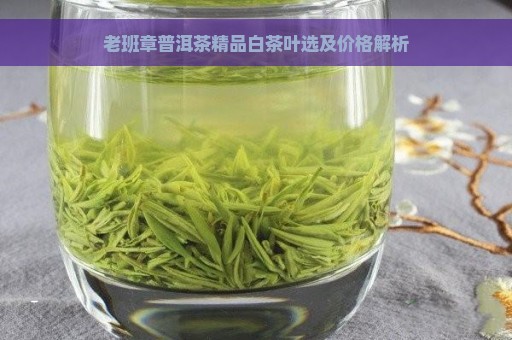 老班章普洱茶精品白茶叶选及价格解析