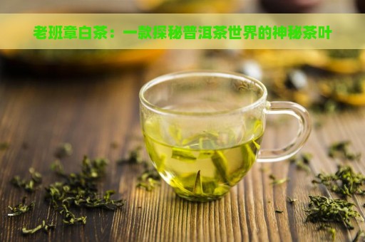 老班章白茶：一款探秘普洱茶世界的神秘茶叶