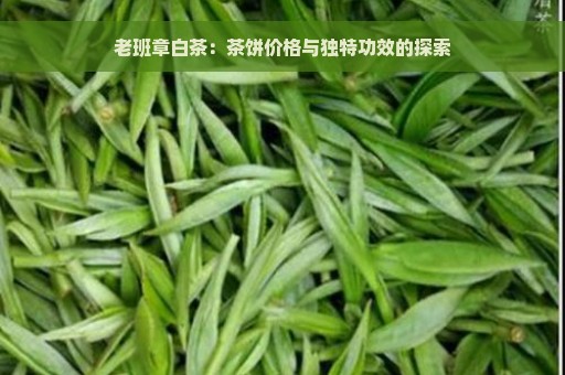 老班章白茶：茶饼价格与独特功效的探索