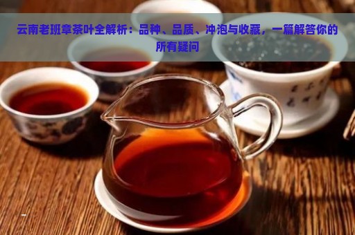 云南老班章茶叶全解析：品种、品质、冲泡与收藏，一篇解答你的所有疑问