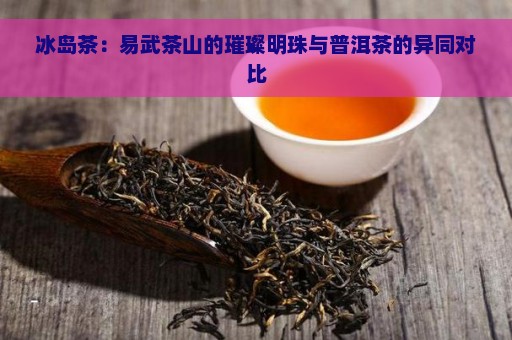 冰岛茶：易武茶山的璀璨明珠与普洱茶的异同对比