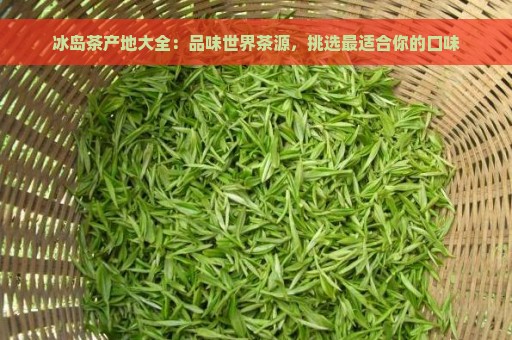 冰岛茶产地大全：品味世界茶源，挑选最适合你的口味