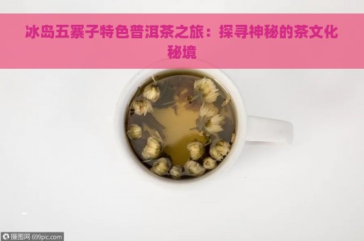 冰岛五寨子特色普洱茶之旅：探寻神秘的茶文化秘境