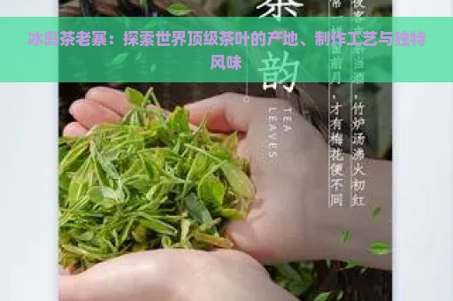 冰岛茶老寨：探索世界顶级茶叶的产地、制作工艺与独特风味