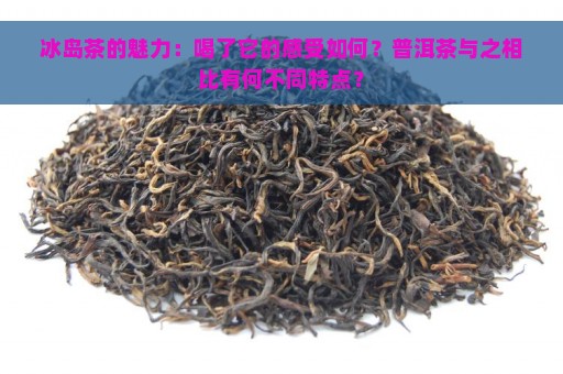 冰岛茶的魅力：喝了它的感受如何？普洱茶与之相比有何不同特点？