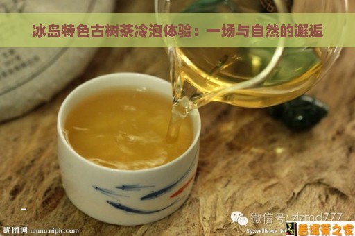 冰岛特色古树茶冷泡体验：一场与自然的邂逅