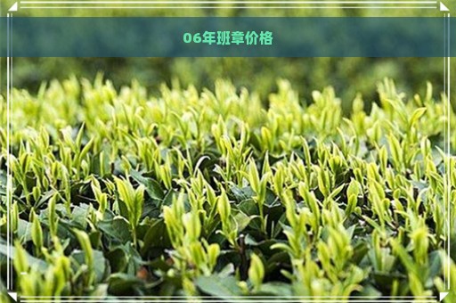 06年班章价格