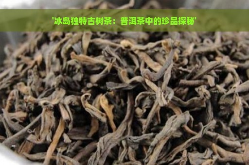 '冰岛独特古树茶：普洱茶中的珍品探秘'