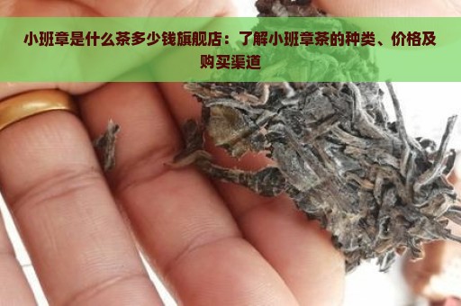 小班章是什么茶多少钱旗舰店：了解小班章茶的种类、价格及购买渠道