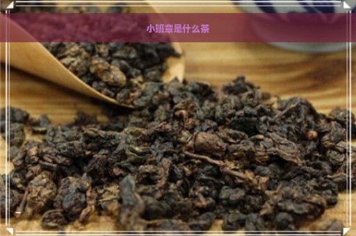 小班章是什么茶