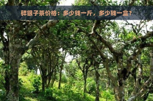 碎银子茶价格：多少钱一斤，多少钱一盒？