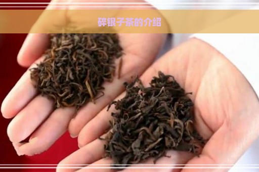 碎银子茶的介绍