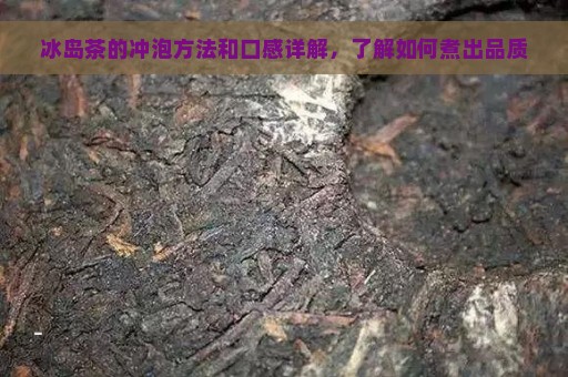 冰岛茶的冲泡方法和口感详解，了解如何煮出品质