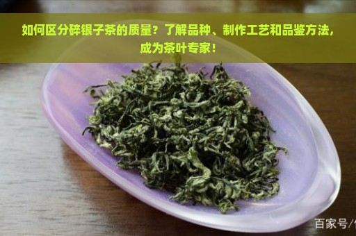 如何区分碎银子茶的质量？了解品种、制作工艺和品鉴方法，成为茶叶专家！