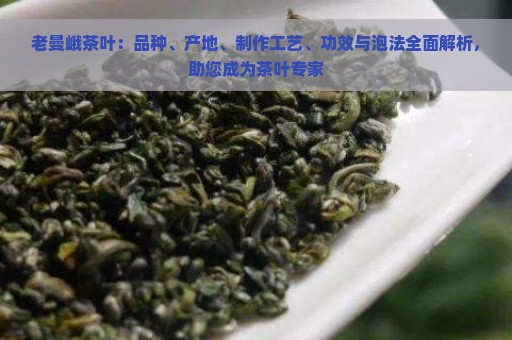 老曼峨茶叶：品种、产地、制作工艺、功效与泡法全面解析，助您成为茶叶专家