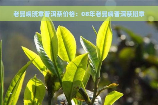 老曼峨班章普洱茶价格：08年老曼峨普洱茶班章