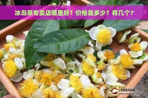 冰岛茶专卖店哪里好？价格是多少？有几个？