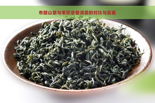 布朗山茶与老班章普洱茶的对比与品鉴