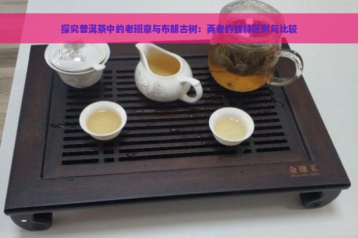 探究普洱茶中的老班章与布朗古树：两者的独特区别与比较