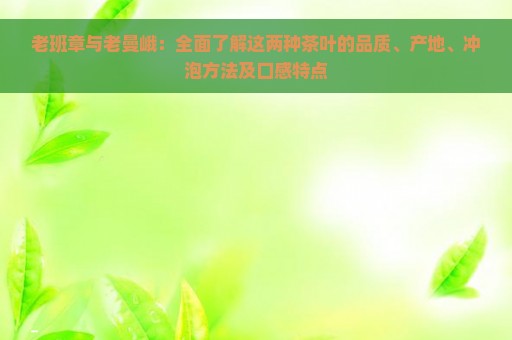 老班章与老曼峨：全面了解这两种茶叶的品质、产地、冲泡方法及口感特点