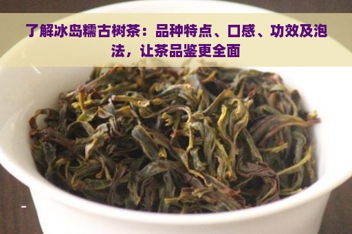 了解冰岛糯古树茶：品种特点、口感、功效及泡法，让茶品鉴更全面