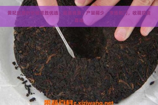 贵妃红茶叶价格贵胜优选：品质优良，产量稀少，市场热门，收藏投资首选