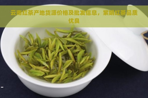 云南红茶产地货源价格及批发信息，紫娟红茶品质优良