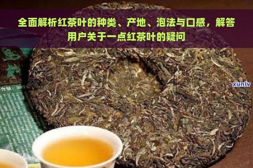 全面解析红茶叶的种类、产地、泡法与口感，解答用户关于一点红茶叶的疑问