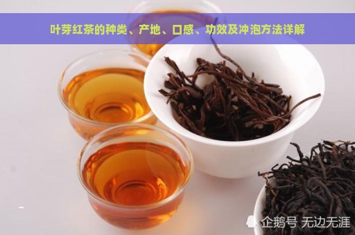 叶芽红茶的种类、产地、口感、功效及冲泡方法详解