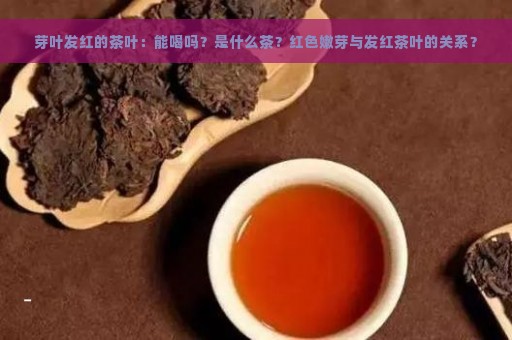 芽叶发红的茶叶：能喝吗？是什么茶？红色嫩芽与发红茶叶的关系？