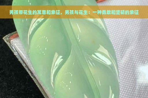 男孩带花生的寓意和象征，男孩与花生：一种勇敢和坚韧的象征