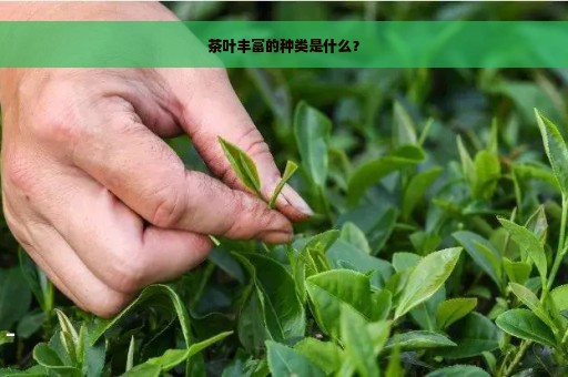 茶叶丰富的种类是什么？