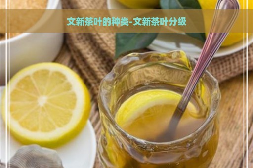 文新茶叶的种类-文新茶叶分级