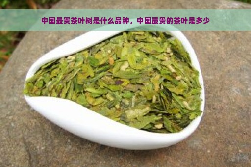 中国最贵茶叶树是什么品种，中国最贵的茶叶是多少