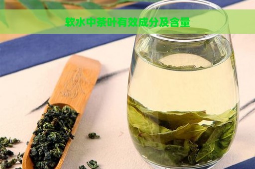 软水中茶叶有效成分及含量