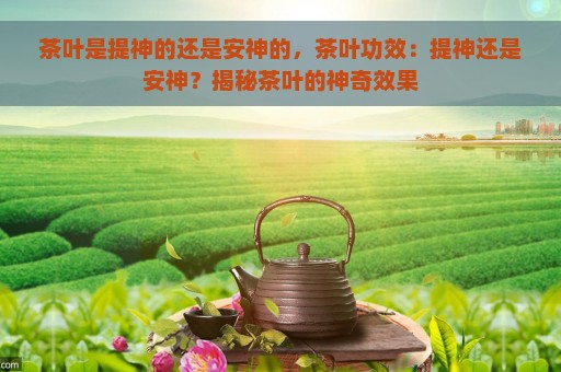 茶叶是提神的还是安神的，茶叶功效：提神还是安神？揭秘茶叶的神奇效果