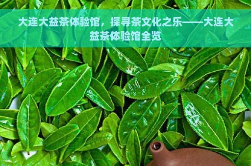 大连大益茶体验馆，探寻茶文化之乐——大连大益茶体验馆全览