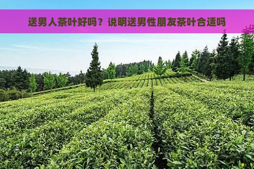 送男人茶叶好吗？说明送男性朋友茶叶合适吗