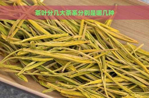 茶叶分几大茶系分别是哪几种