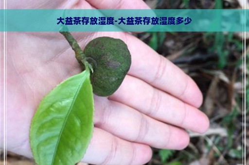 大益茶存放湿度-大益茶存放湿度多少