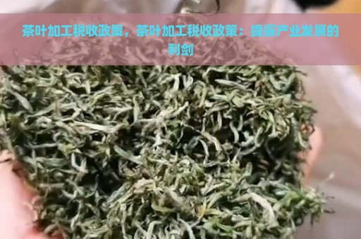 茶叶加工税收政策，茶叶加工税收政策：提振产业发展的利剑