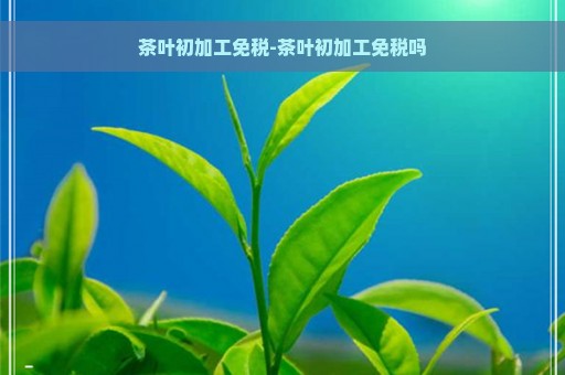 茶叶初加工免税-茶叶初加工免税吗