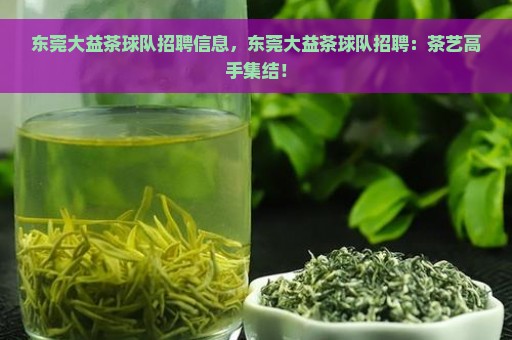 东莞大益茶球队招聘信息，东莞大益茶球队招聘：茶艺高手集结！